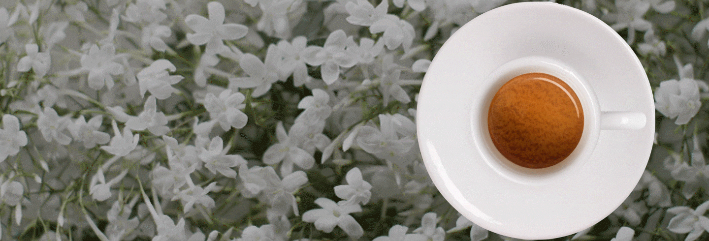 NATURE CUP